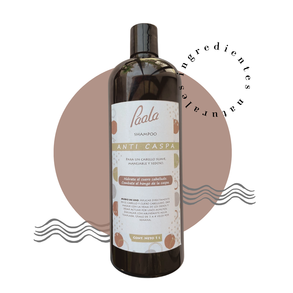 Shampoo Anti Caspa 1 lto